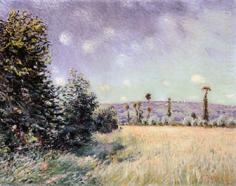 Sahurs Meadows in the Morning Sun, Alfred Sisley